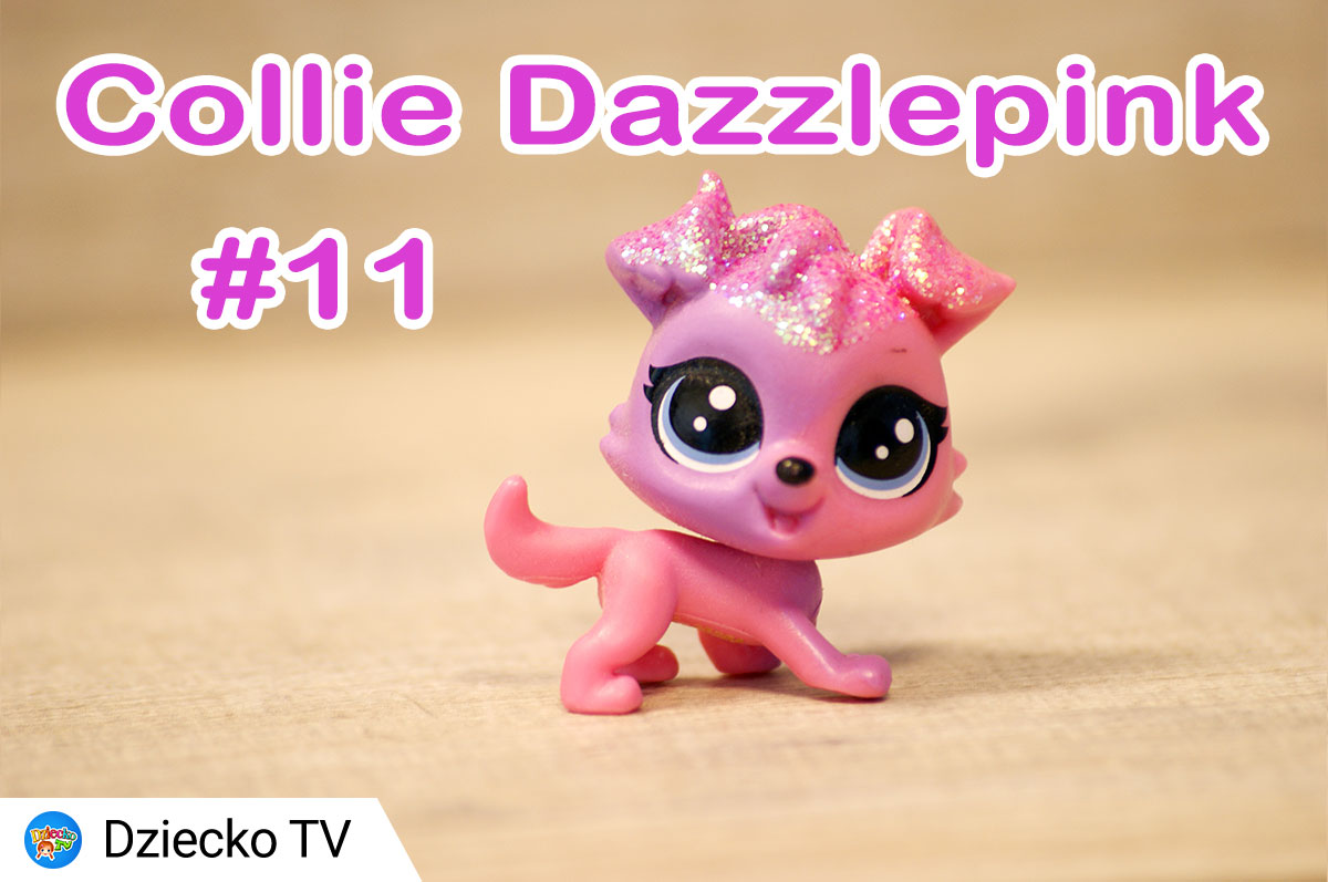 collie dazzlepink 11